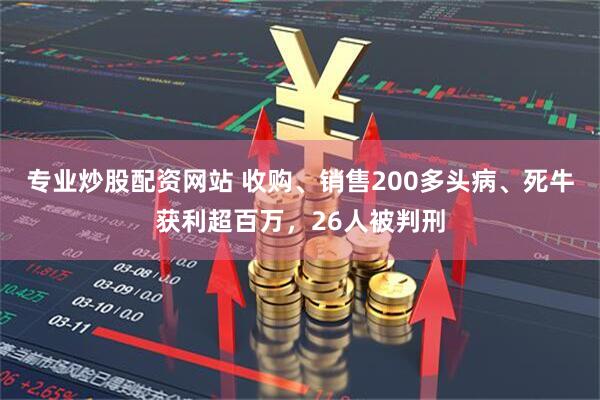 专业炒股配资网站 收购、销售200多头病、死牛获利超百万，26人被判刑