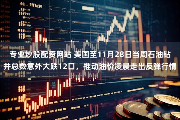 专业炒股配资网站 美国至11月28日当周石油钻井总数意外大跌12口，推动油价凌晨走出反弹行情